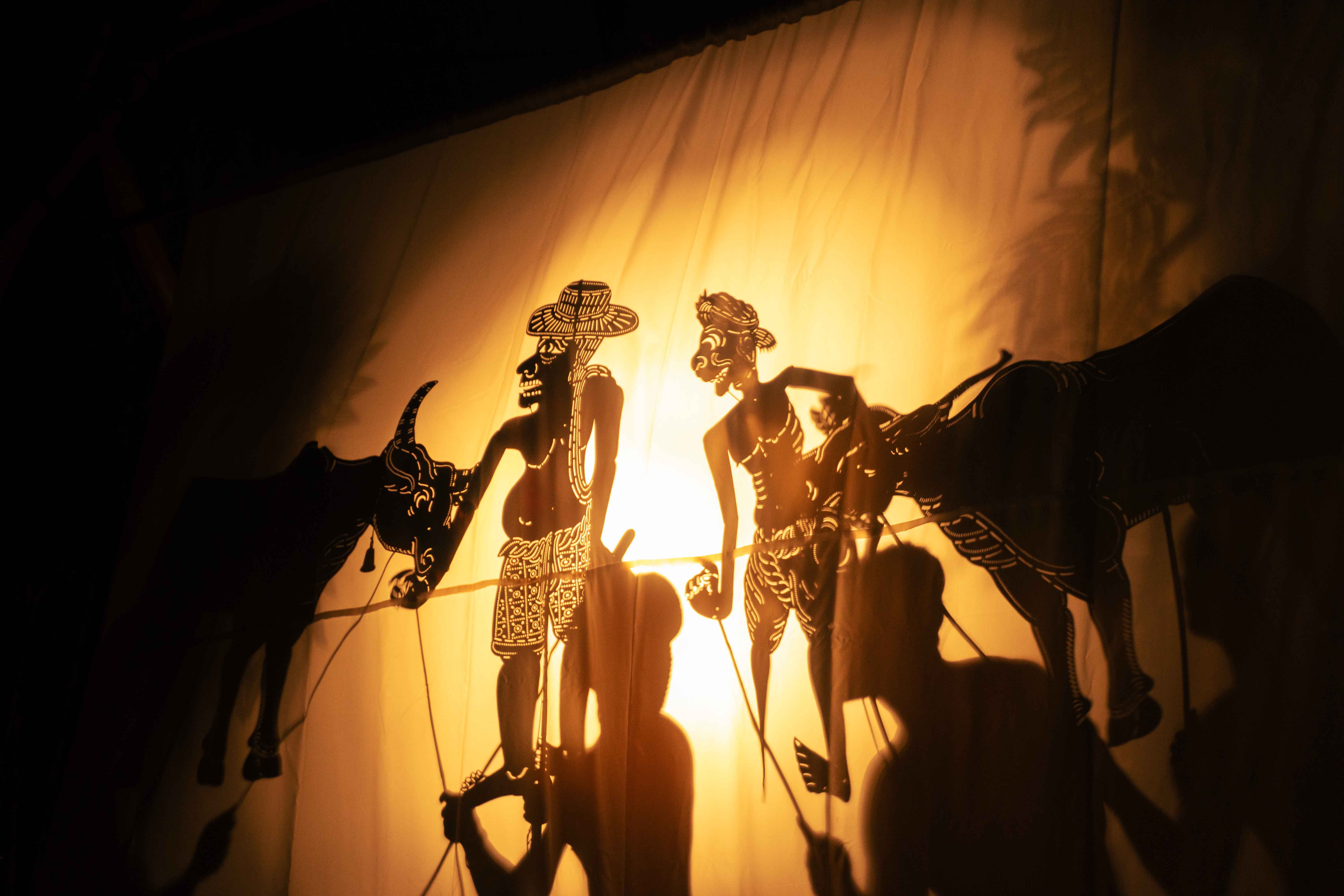 Magic in the Shadows